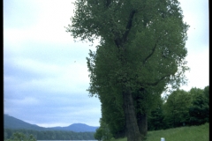IMG0052_2